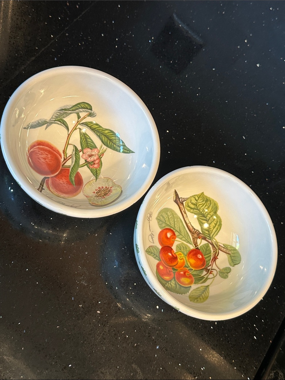 Set of Two Portmeirion Pomona Salad/Dessert/Fruit Bowls with Fruit Illustrations